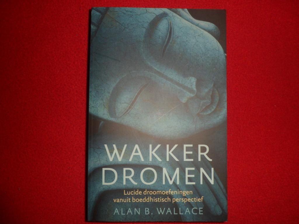 Alan B. Wallace: Wakker dromen, Boeken, Godsdienst en Theologie, Alan B. Wallace, Ophalen of Verzenden, Zo goed als nieuw, Boeddhisme
