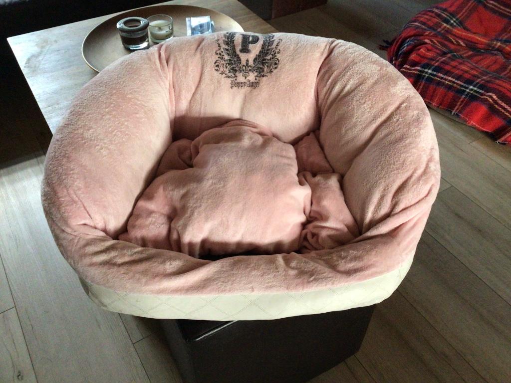 Puppy Angel hondenmand, Animaux & Accessoires, Paniers pour chiens, Enlèvement ou Envoi, Utilisé, Poussière
