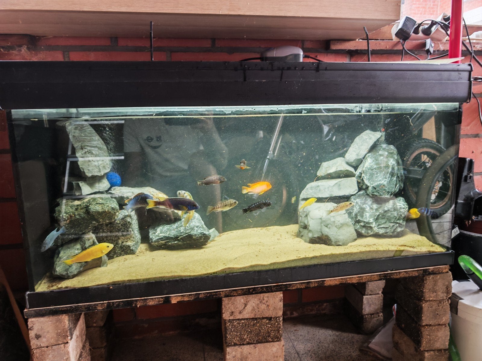 malawi aquarium, Ophalen, Filter