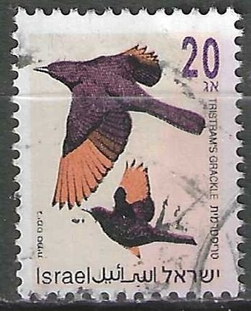 Israel 1992 - Yvert 1194 - Tristrams spreeuw (ST), Verzenden, Gestempeld
