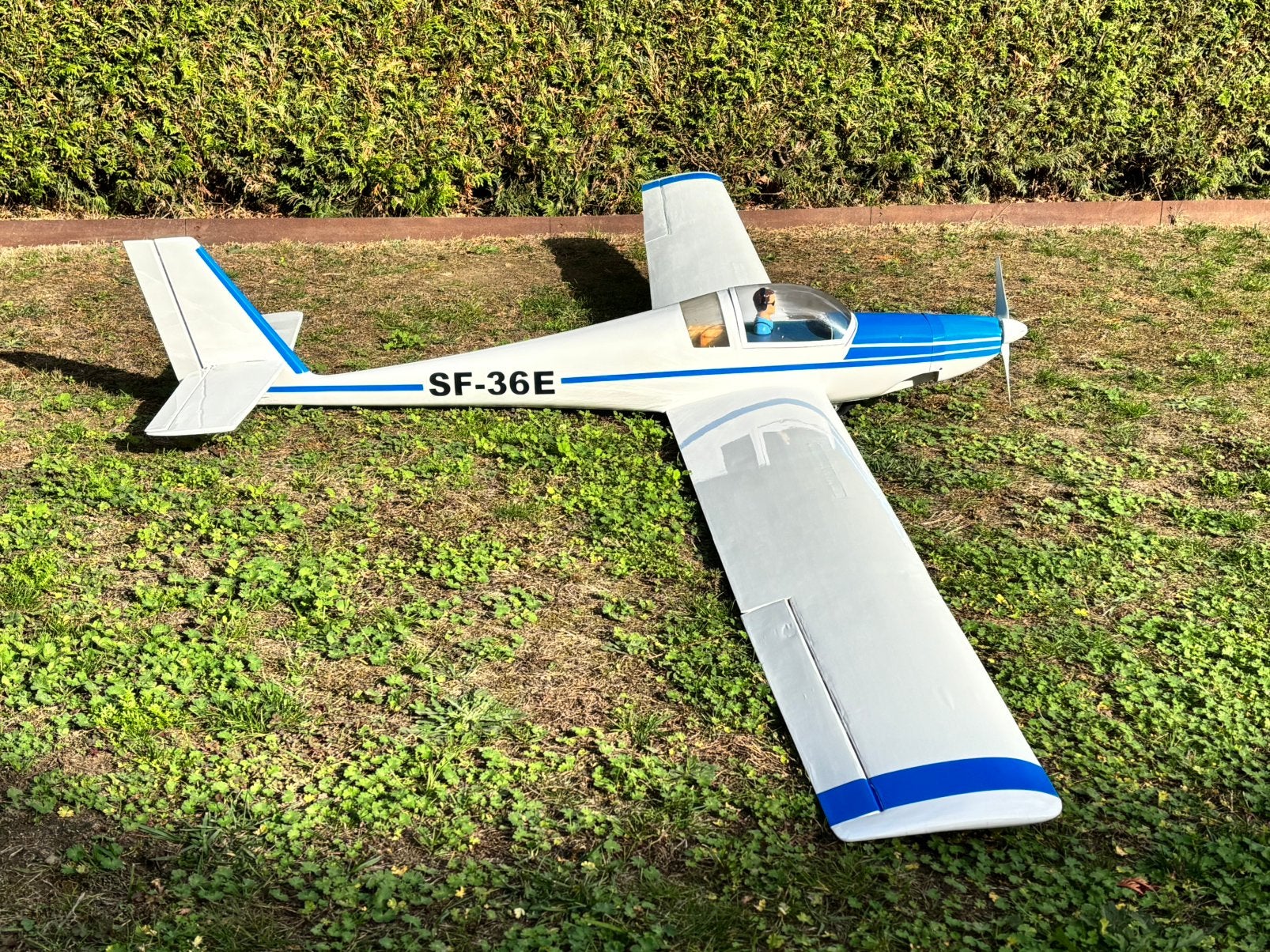 Motorzwever SF36, Hobby en Vrije tijd, Ophalen, Gebruikt, Elektro
