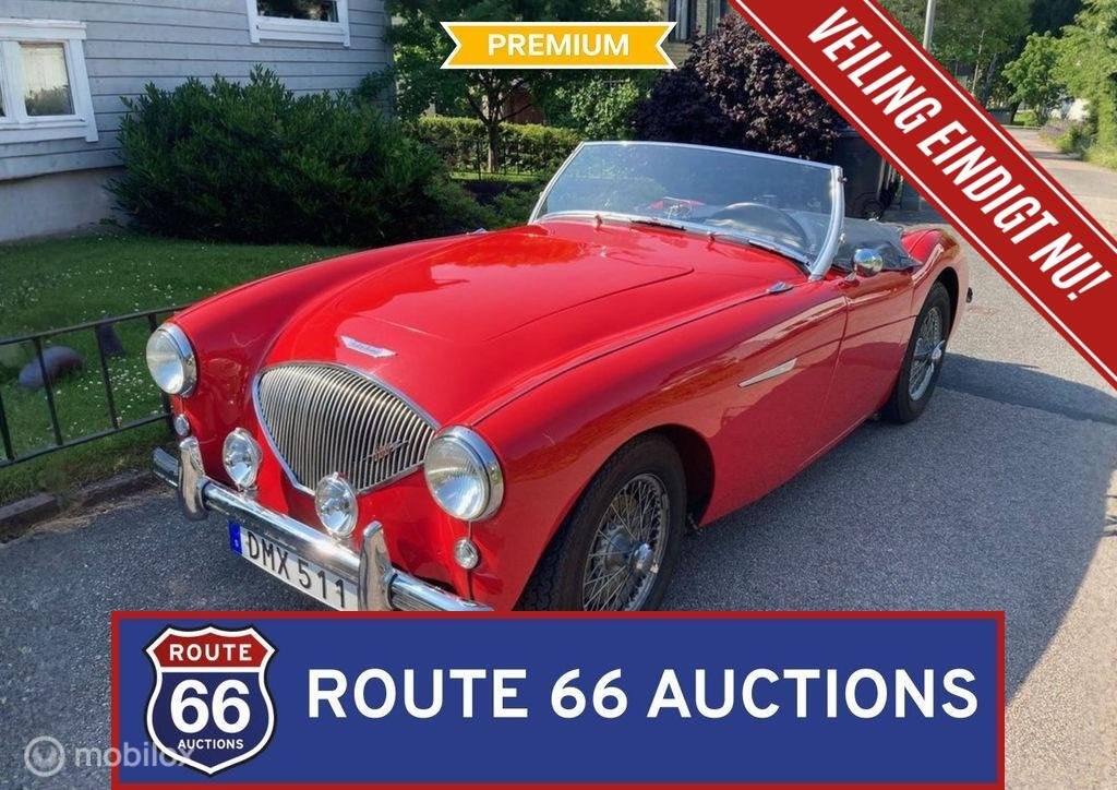 Austin-Healey 100/4 BN1 | 1954 | Route 66 Auctions, Entreprise, Boîte manuelle, Autre carrosserie, Essence