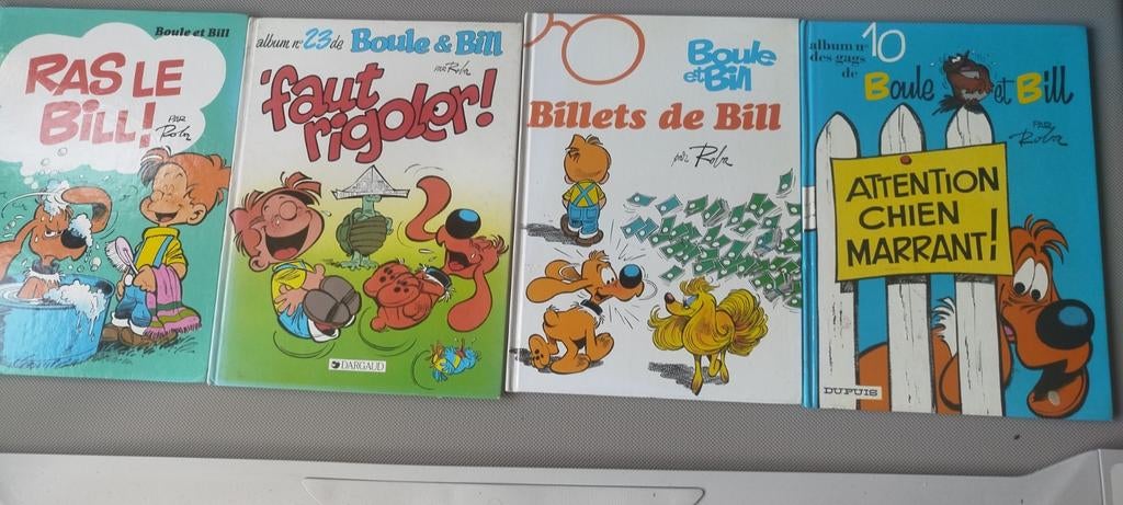 BD  boule et Bill, Collections, Enlèvement