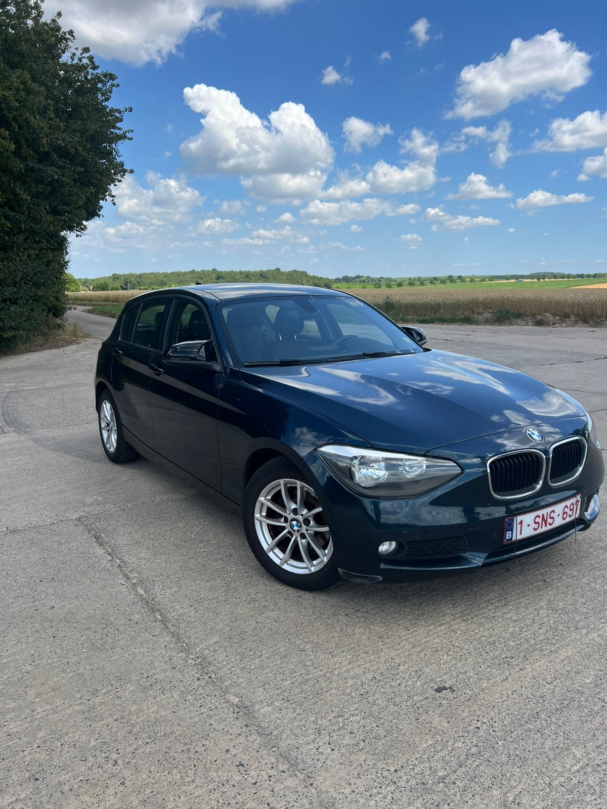 BMW 1 (F70) 1.6 D 85 kW (114 PK) LIMITED, Auto's, Euro 5, 1 Reeks, Bedrijf, Te koop