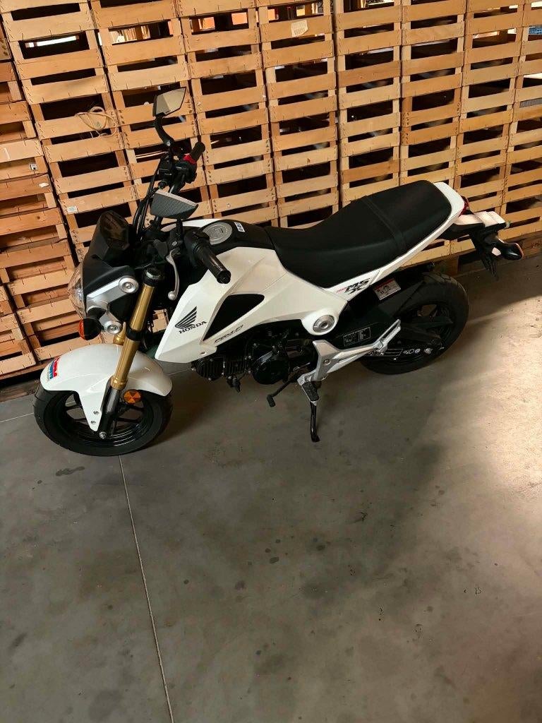 motor honda, Motoren, Nieuw, Bedrijf