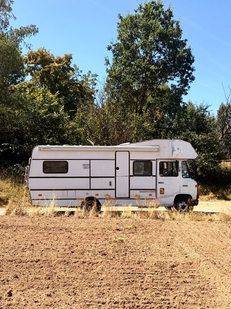 Mercedes 608D Mobilhome Oldtimer, Jusqu'à 4, 4 à 5 mètres, Boîte manuelle, Diesel