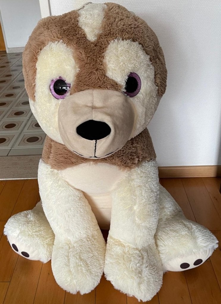 dog hond chien, Ophalen, Overige merken, Nieuw, Hond