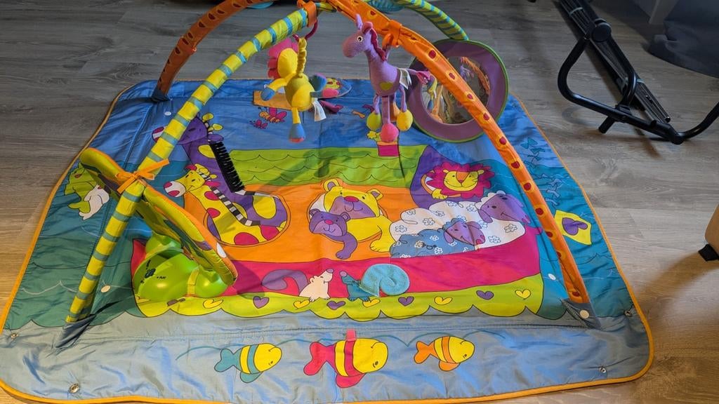 #Tiny Love #speelmat #baby #ontwikkeling #goede staat, Ophalen