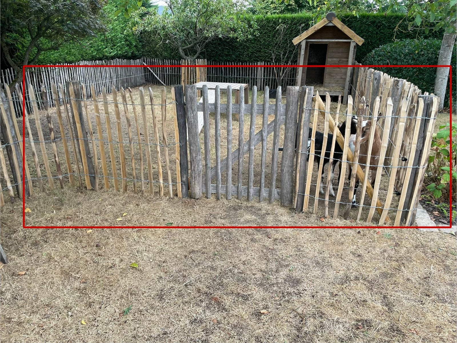Kastanjehek + kastanjepoortje, Tuin en Terras, Tuinhekken en Hekwerk, Ophalen, Zo goed als nieuw
