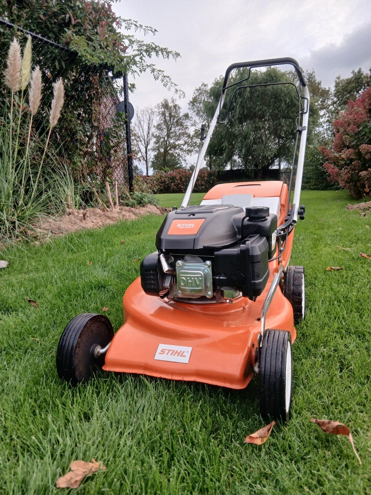 stihl RM 248 T, Stihl, Tondeuse rotative, 40 à 49 cm, Enlèvement