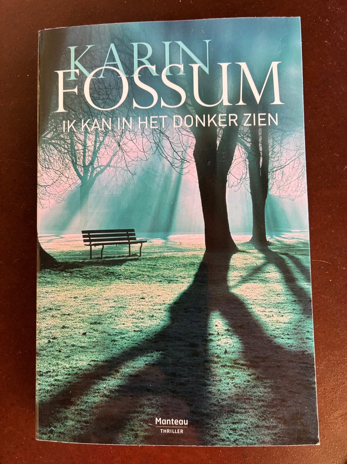 Karin Fossum : Ik kan in het donker zien, Boeken, Thrillers, Ophalen of Verzenden, Zo goed als nieuw, Nederland
