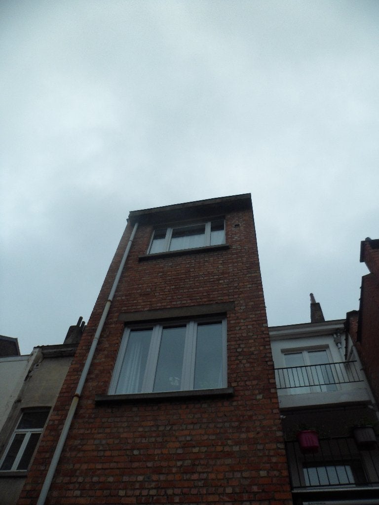 immeuble mixte à vendre, Immo, Bruxelles, Habitation avec espace professionnel, 250 m², Jusqu'à 200 m²