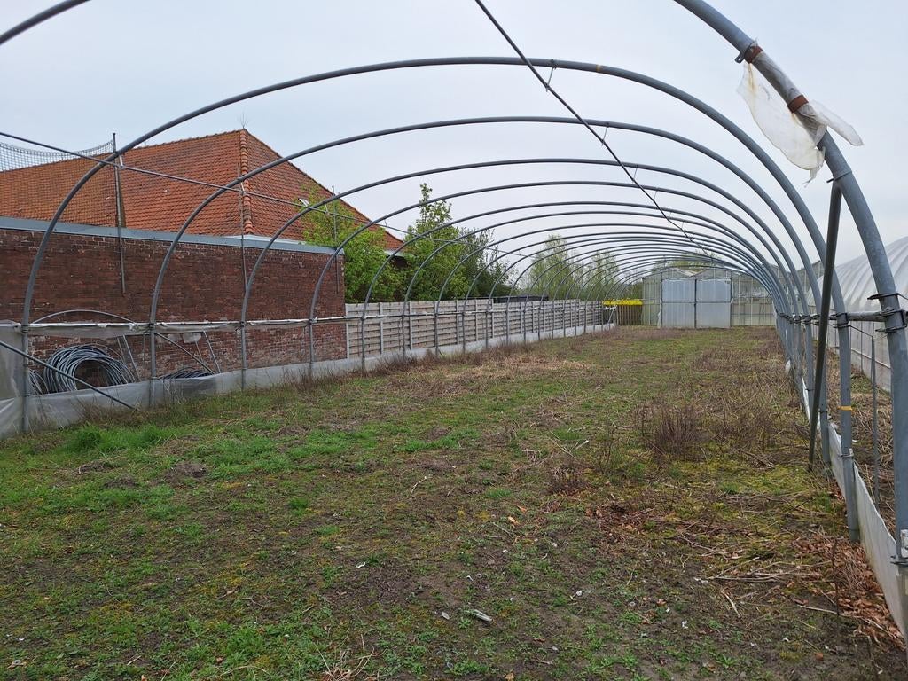 Koepelserre 40x9m, Tuin en Terras, Ophalen