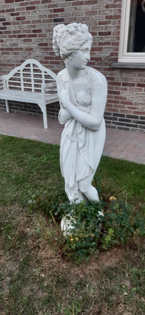 Stenen beeld, Ophalen, Beeld