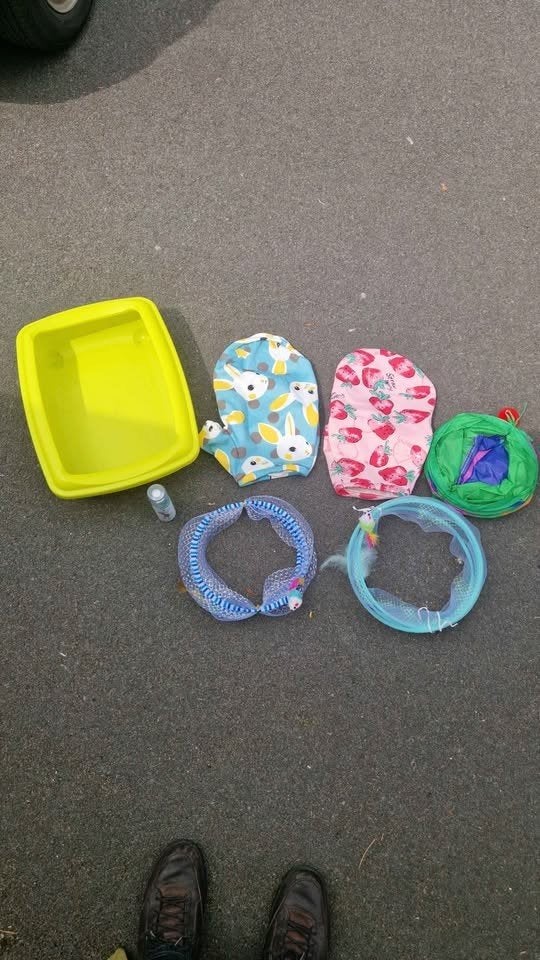 Kattenspeelgoed, kleertjes, etc GRATIS, Ophalen
