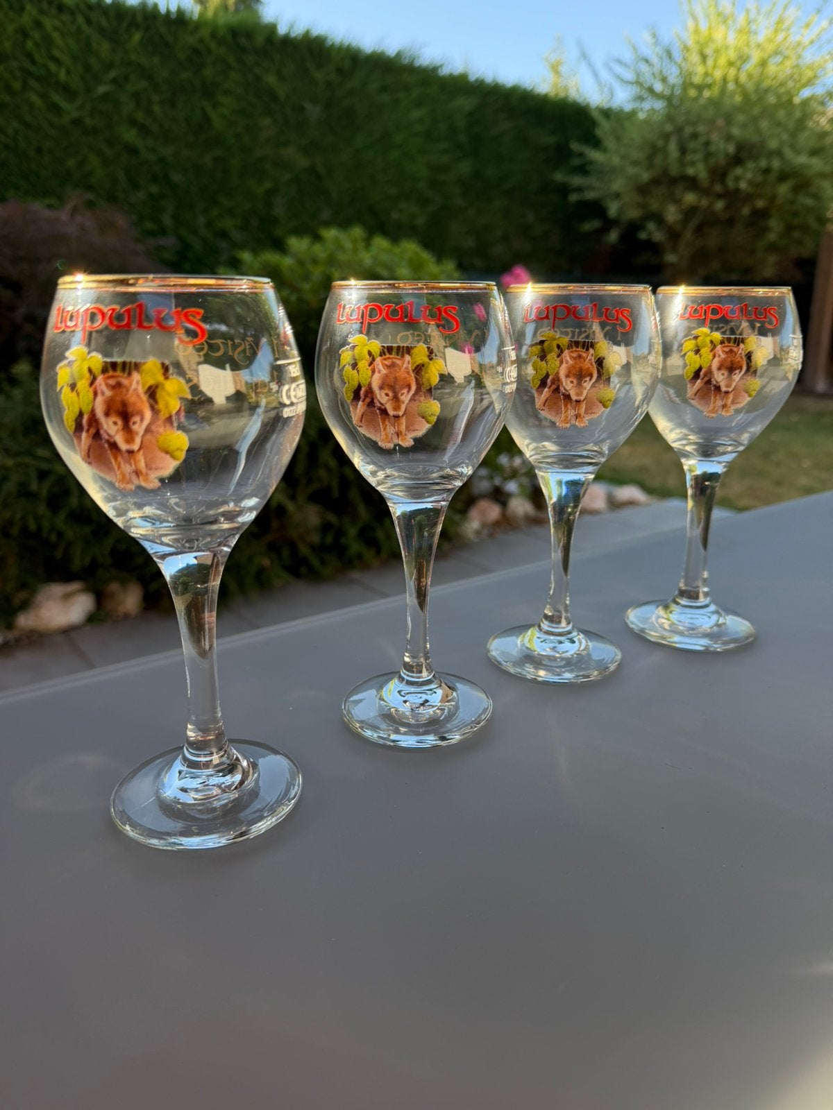 Bierglaasjes, Ophalen of Verzenden, Zo goed als nieuw