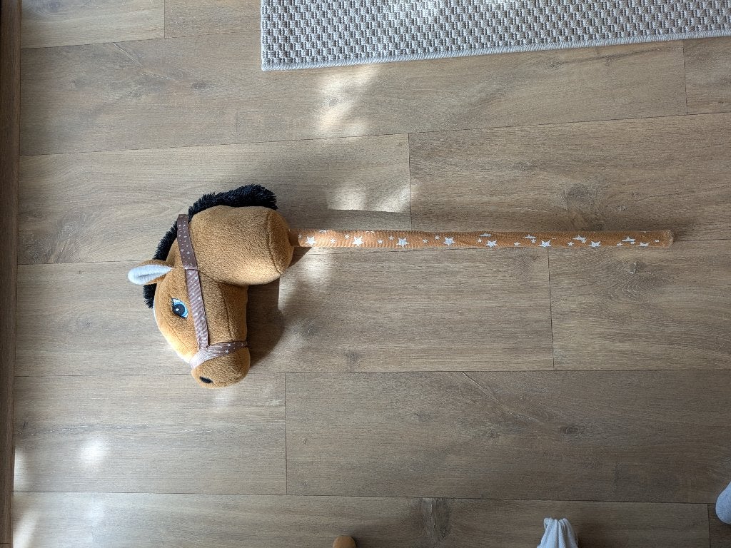 Stokpaardje, Kinderen en Baby's, Ophalen, Gebruikt
