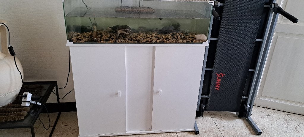 aquarium tortues marines et tous les accessoires, Animaux & Accessoires, Enlèvement, Utilisé, Terrarium ou Paludarium