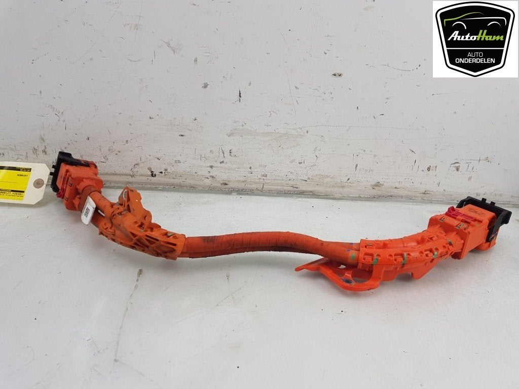HV KABEL (HOOG VOLTAGE) Model 3 (|110900000D|110900000E|), Auto-onderdelen, Elektronica en Kabels, Overige automerken, Gebruikt