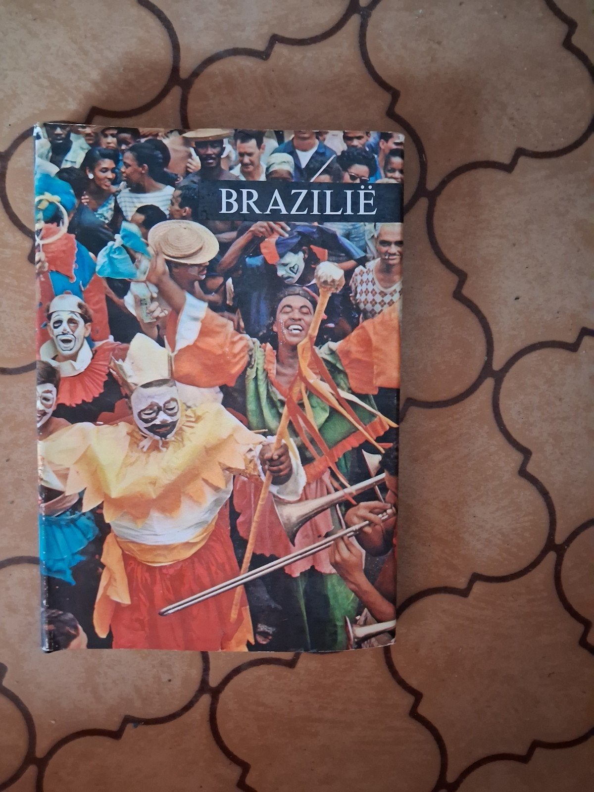 Boeken Brazilie ,Peru,kathedralen, Boeken, Kunst en Cultuur | Beeldend, Ophalen