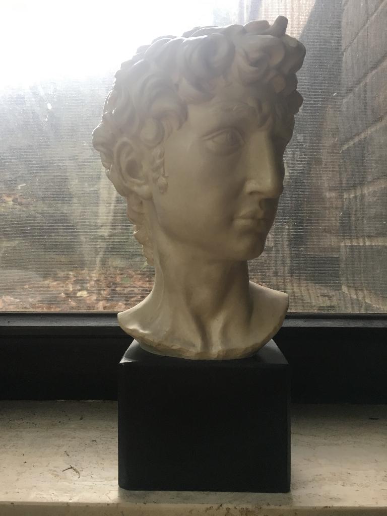 Standbeeld van David A. Santini - Michelangelo, Ophalen, Zo goed als nieuw, Mens