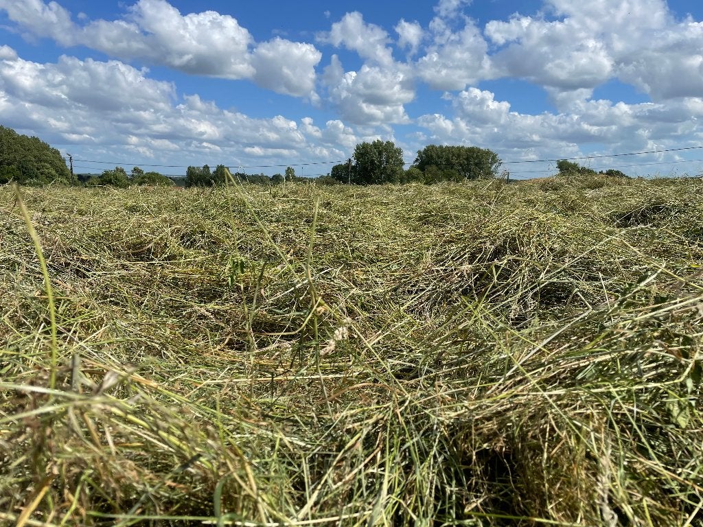 Kleine balen hooi, Ophalen