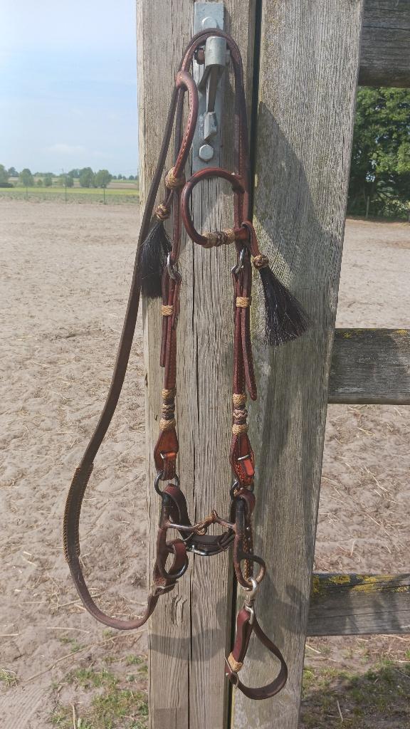 Hoofdstel, Dieren en Toebehoren, Paarden en Pony's | Hoofdstellen en Tuigage, Ophalen, Nieuw, Western