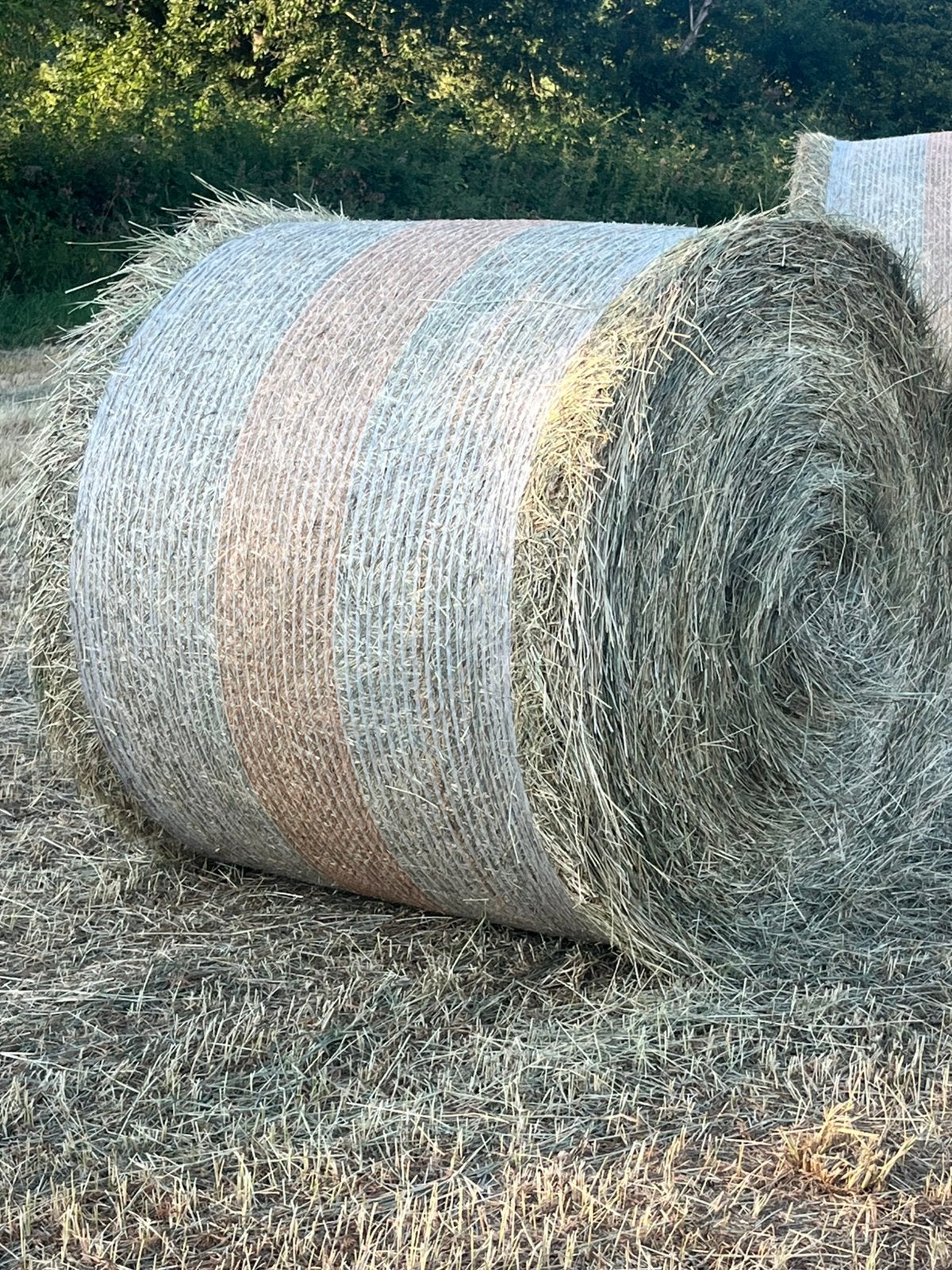 Ronde balen hooi te koop 1,3m diameter, Ophalen of Verzenden