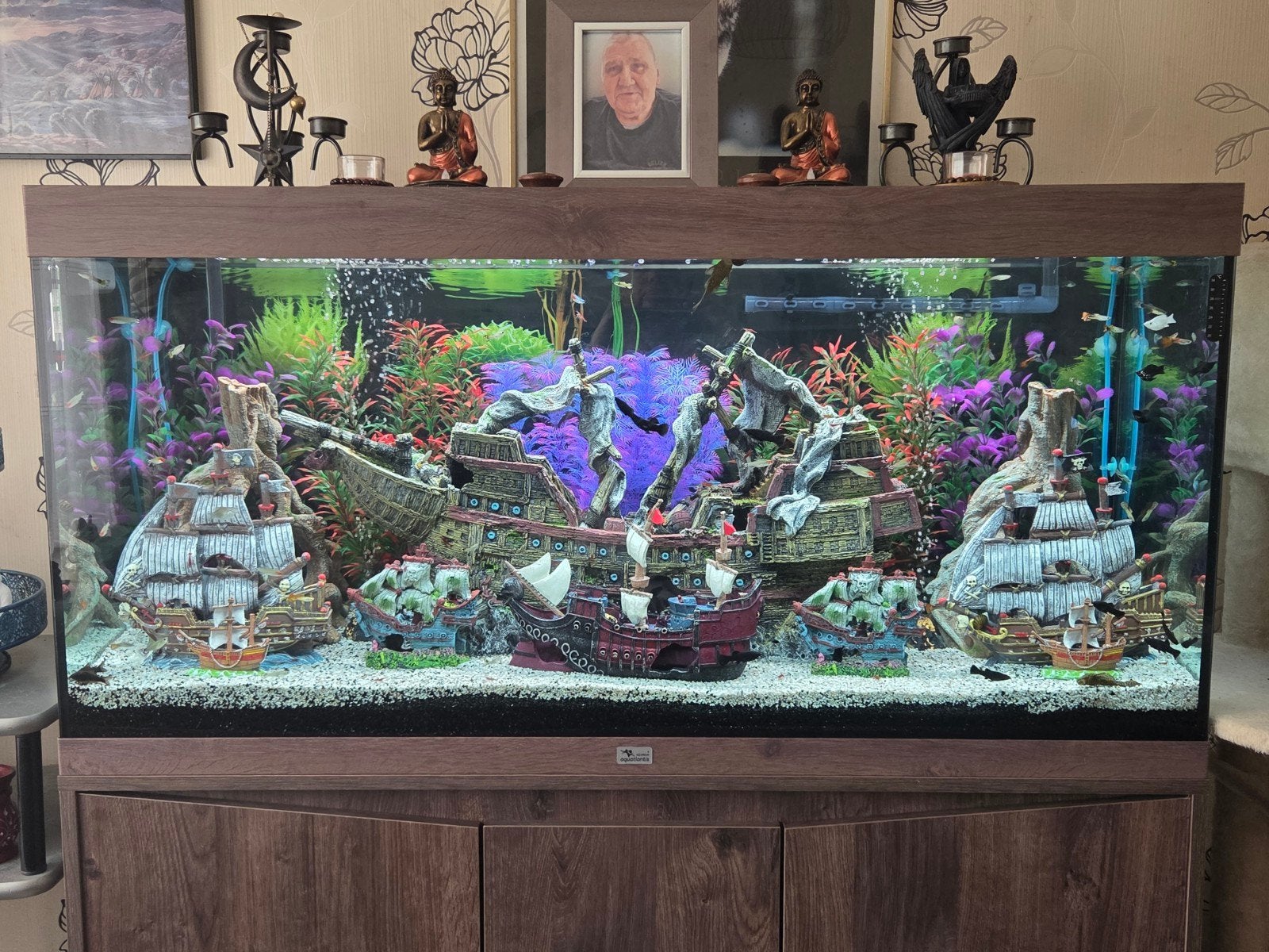 te koop aquarium 4maand oud 23/5/2026gekocht met garantie by, Ophalen, Aquatlantis