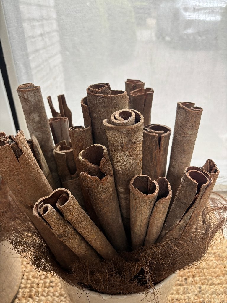 Lot de 2 pots décoratifs avec gros bâtons de cannelle, Enlèvement ou Envoi, Brun, Autres matériaux, Moderne