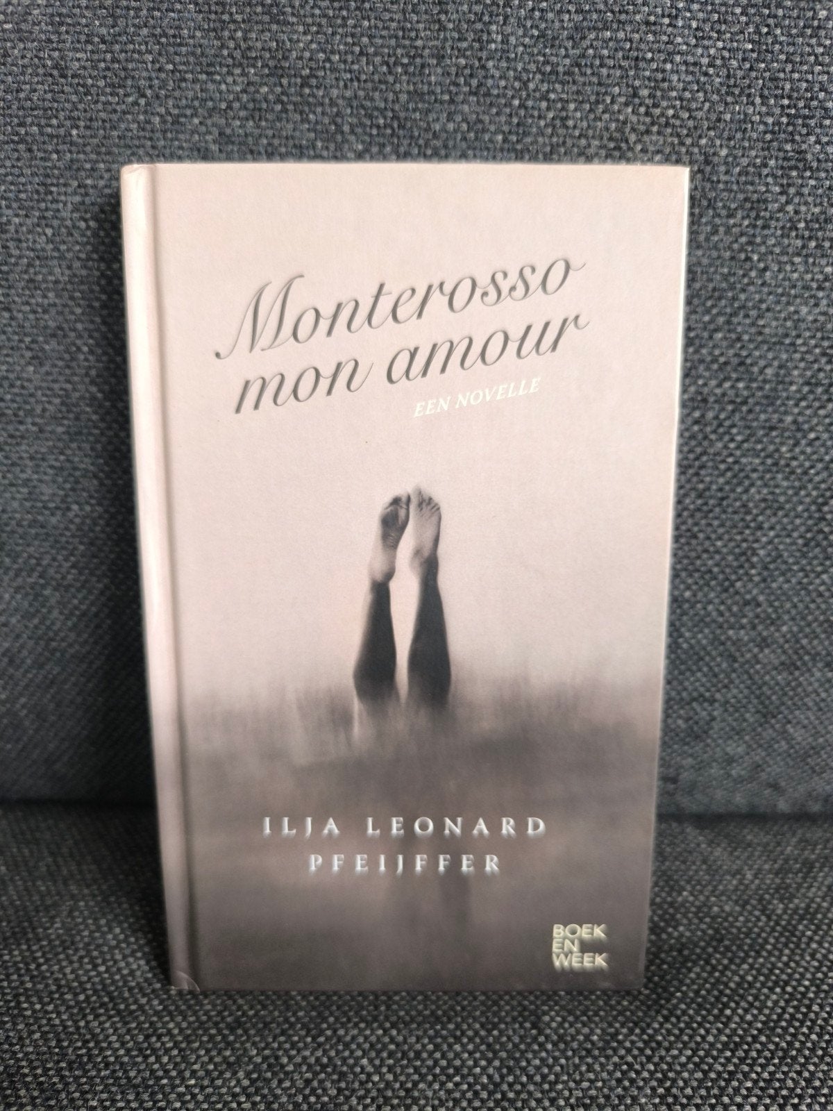Monterosso, mon amour (Ilja Leonard Pfeijffer), Boeken, Ophalen, Zo goed als nieuw, Ilja Leonard Pfeijffer, Nederland