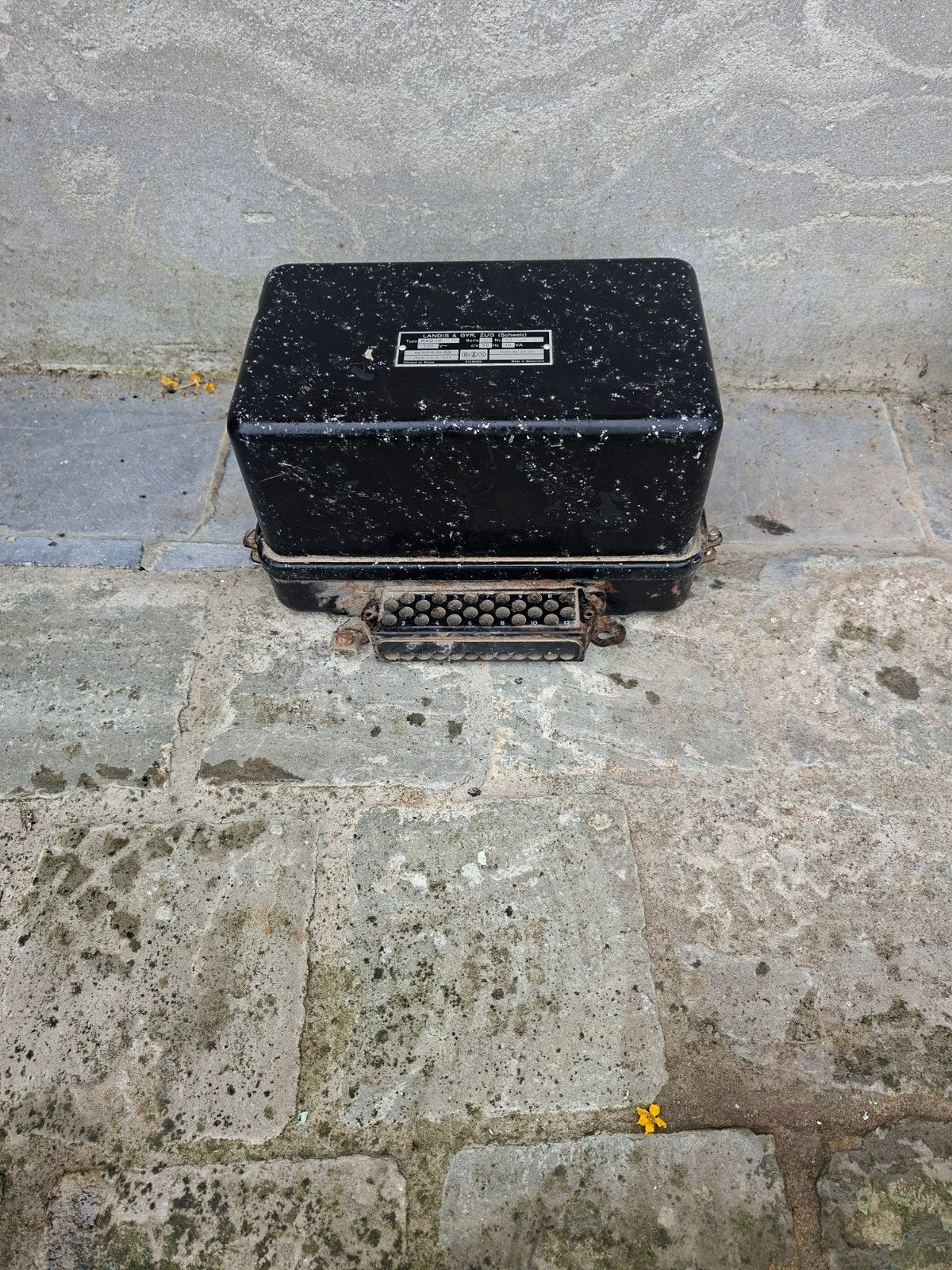 Landys en gyr, Bricolage & Construction, Enlèvement