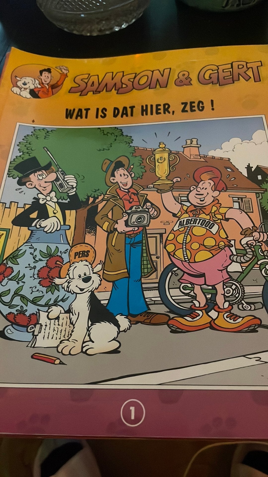 Samson en gert, Ophalen of Verzenden, Gelezen