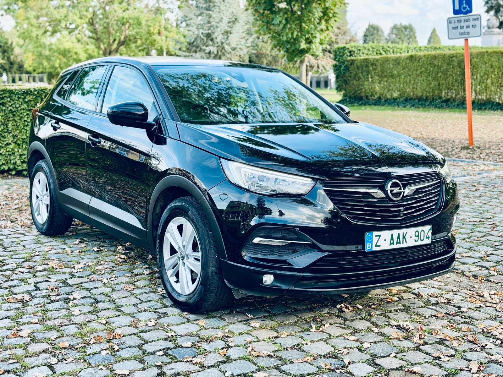 Opel GrandLand XX 2019bj 1ste eigenaar, Monovolume, https://public.car-pass.be/vhr/efe42d91-7210-44bd-8faa-4a3e68de91d7, Euro 6