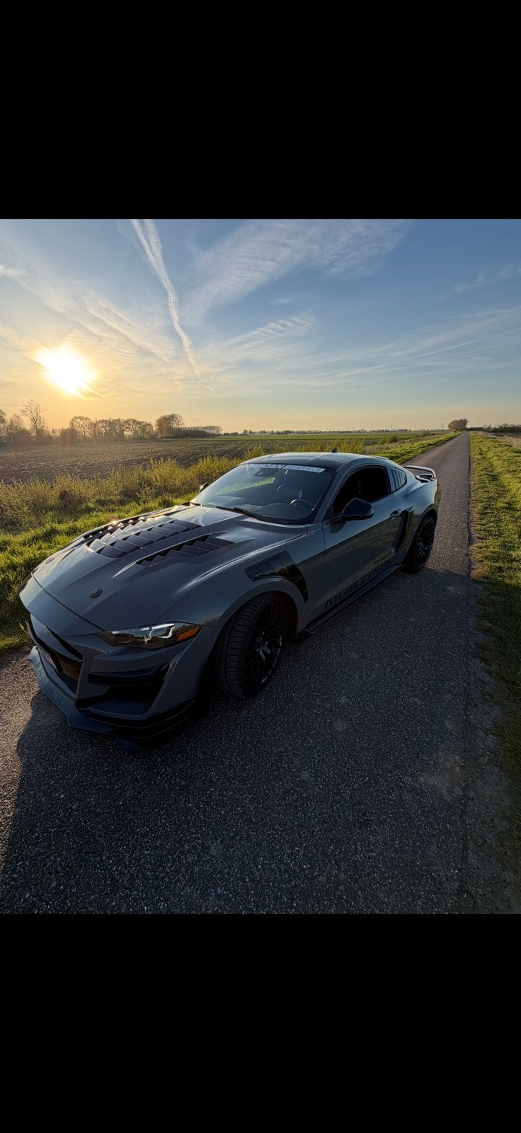 Ford mustang 5.0l v8, Auto's, Automaat, 4 zetels, Achterwielaandrijving, 1700 kg