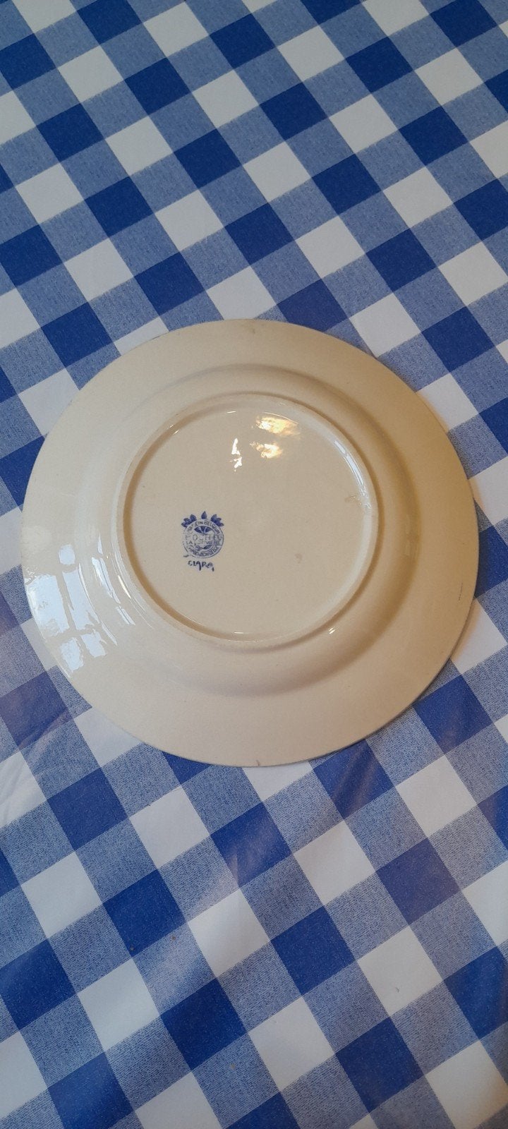 plat ecru bord met blauwe rand, Ophalen of Verzenden