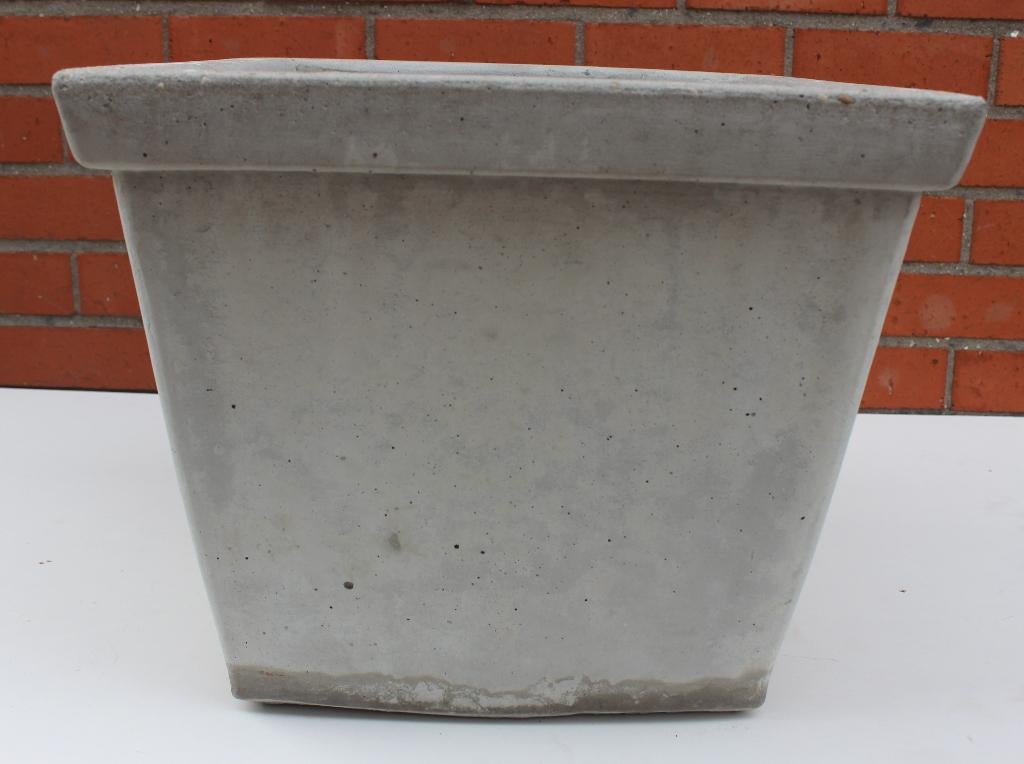 Betonnen bloempot(ten) met of zonder buxus, Ophalen, Zo goed als nieuw