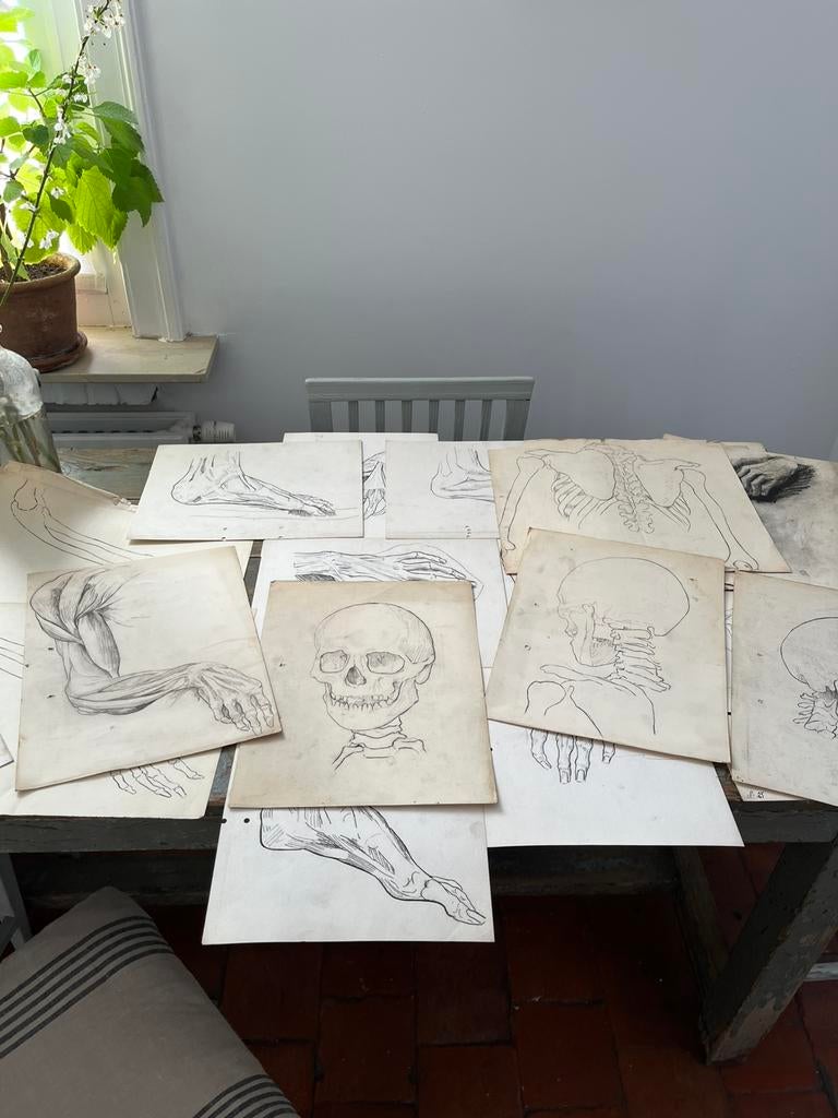 ANTIEKE TEKENINGEN ACADEMIE ANATOMIE POTLOOD KUNST, Ophalen of Verzenden
