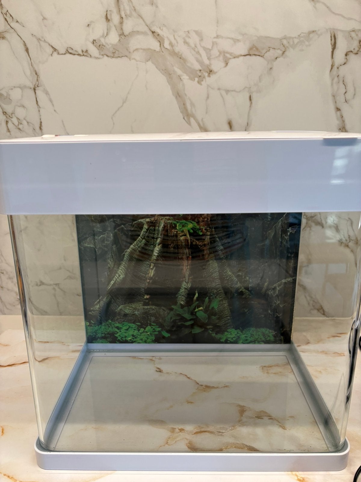 Aquarium 30x30x20, Ophalen, Gebruikt, Overige typen, Superfish