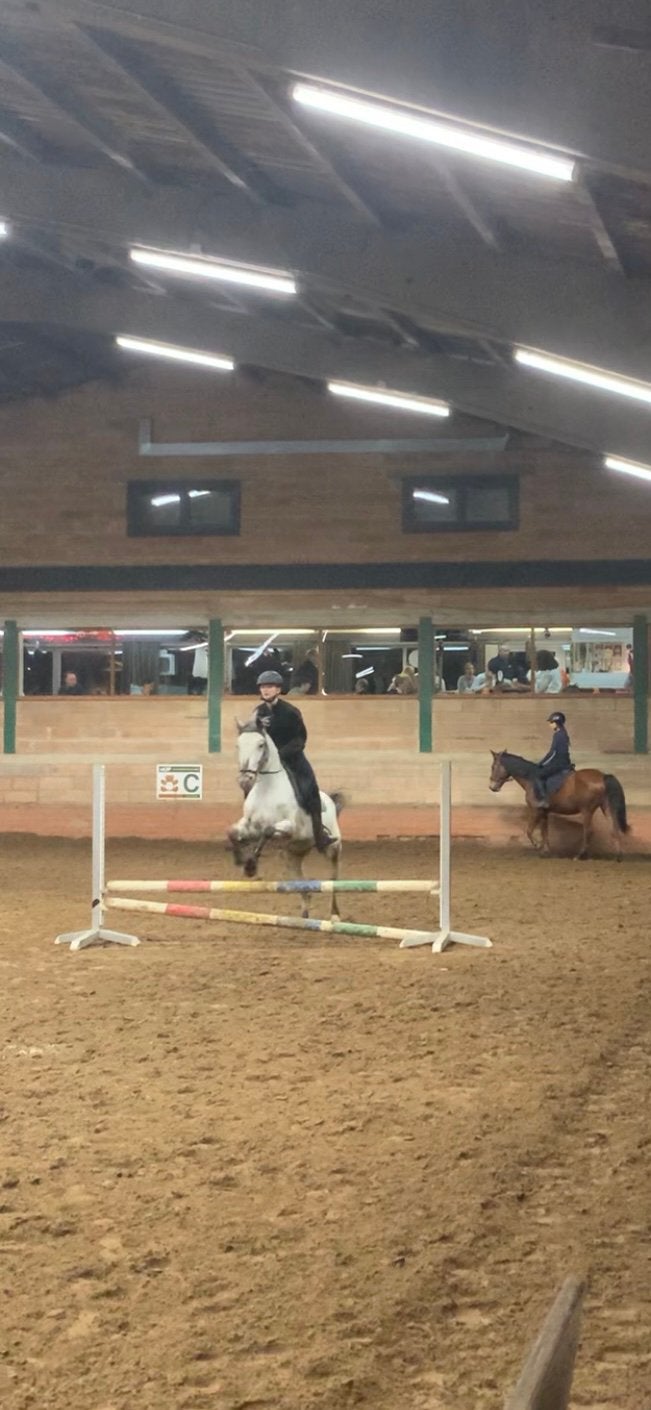 bijrijder/verzorger aangeboden, Animaux & Accessoires, Chevaux