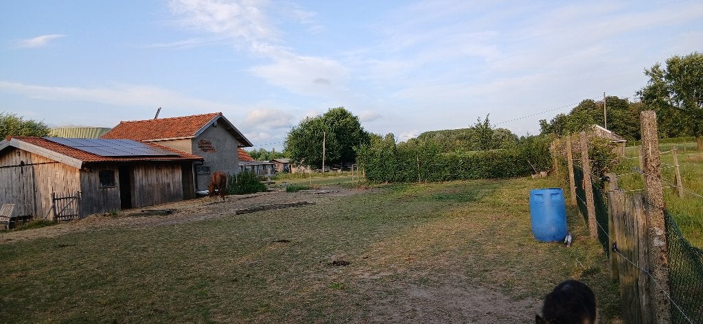 Ponystallen te huur, Stalling, 2 of 3 paarden of pony's