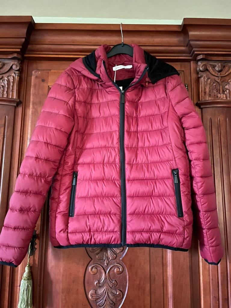 Tussenseizoen mooie rode jas met ritsen maat Medium:NIEUW !, Enlèvement, Neuf, Taille 38/40 (M), Rouge