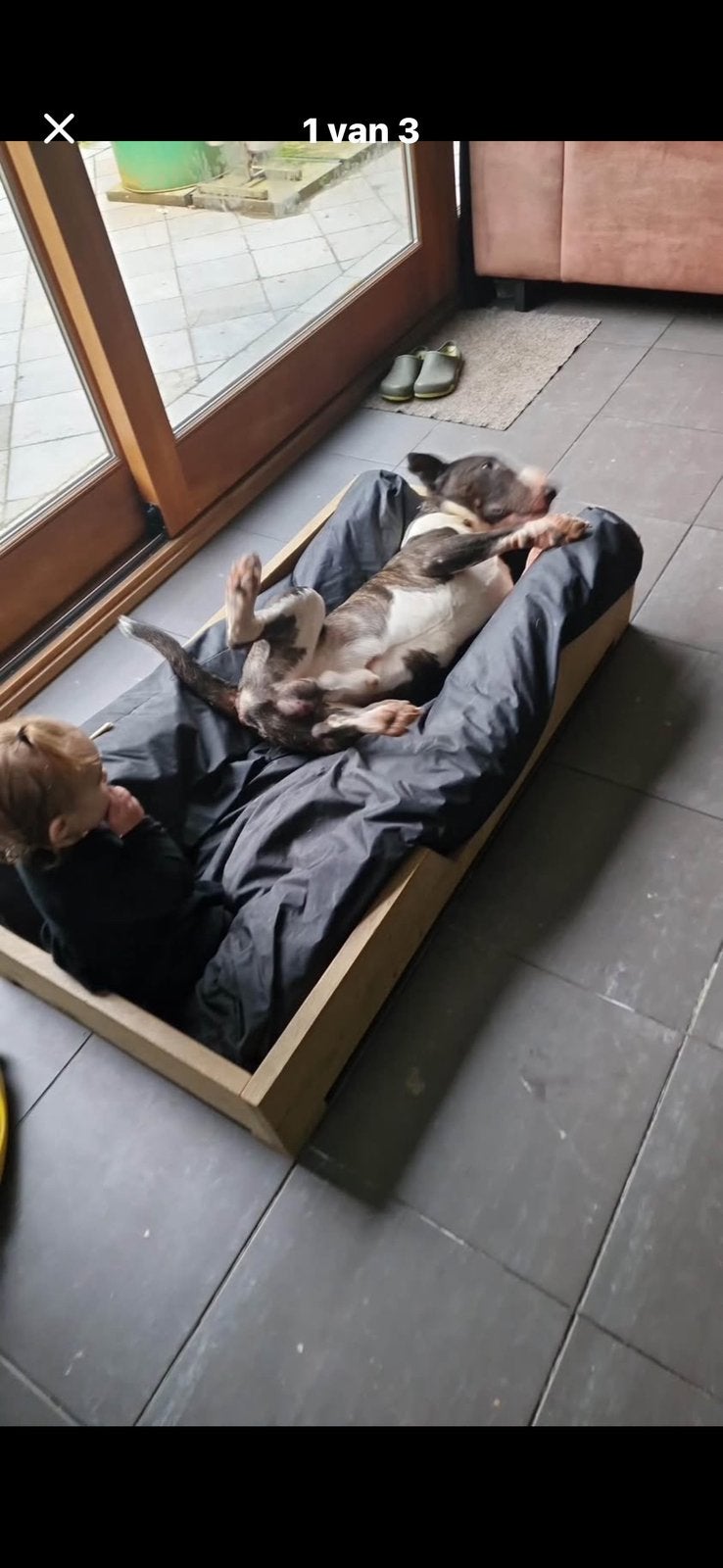 Steigerhouten hondenmand, Enlèvement, Comme neuf