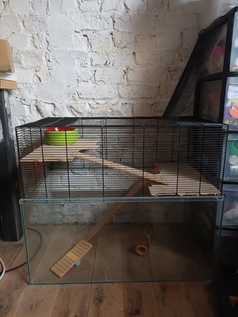 grote kooi voor hamster, rat, muis en andere kleine dieren., Dieren en Toebehoren, Ophalen, Kooi, Muis