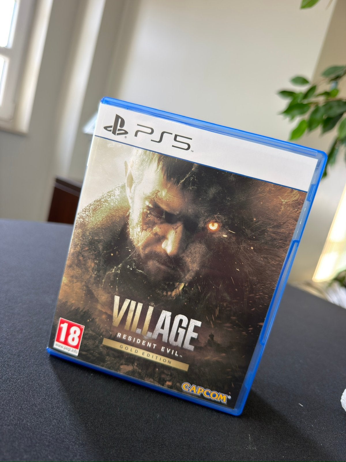 Resident evil village, Consoles de jeu & Jeux vidéo, Jeux | Sony PlayStation 5, Enlèvement, Comme neuf
