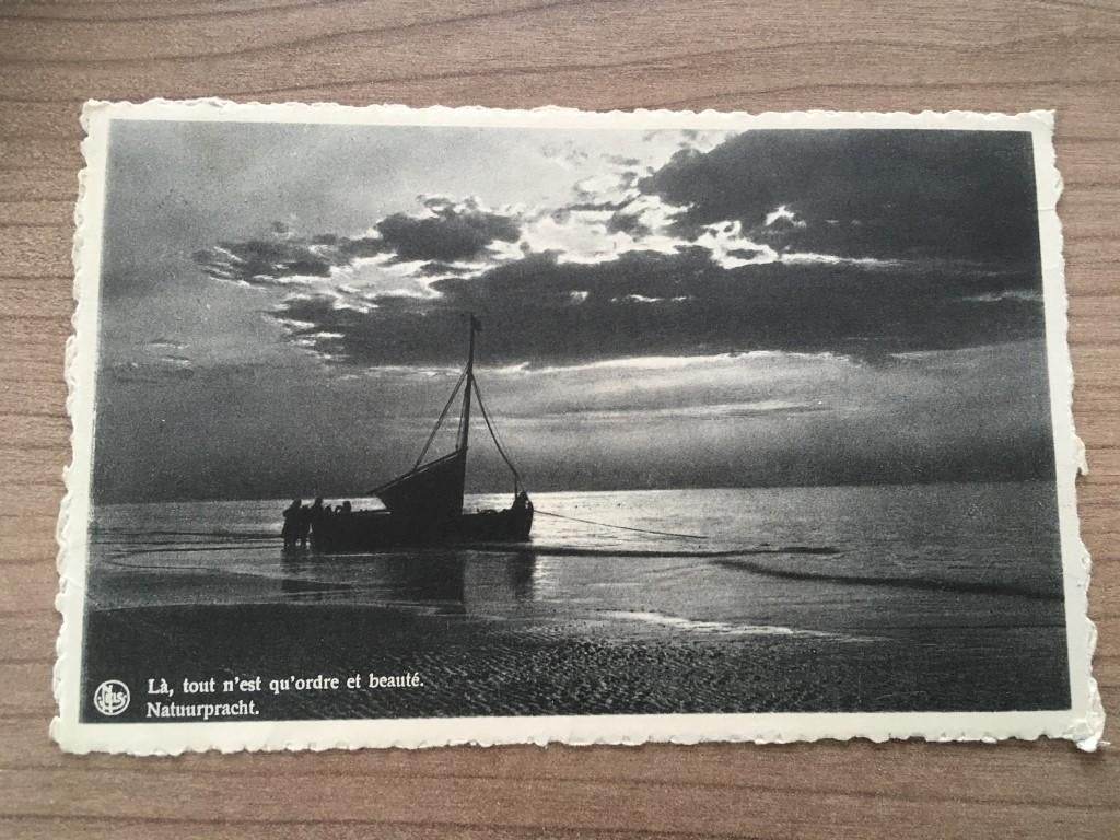 Carte postale De Panne - Beauté naturelle, Collections, Cartes postales | Belgique, Enlèvement ou Envoi, Flandre Occidentale