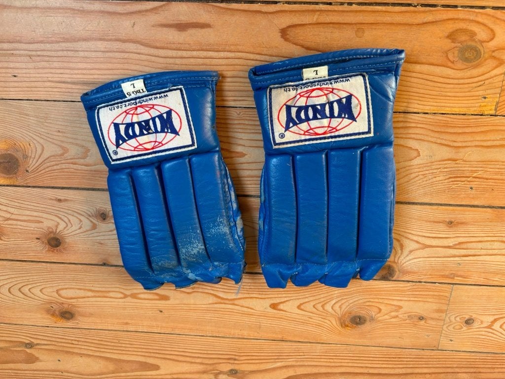 Windy Thai Boxing Gloves, Sport en Fitness, Ophalen, Gebruikt, Bokshandschoenen