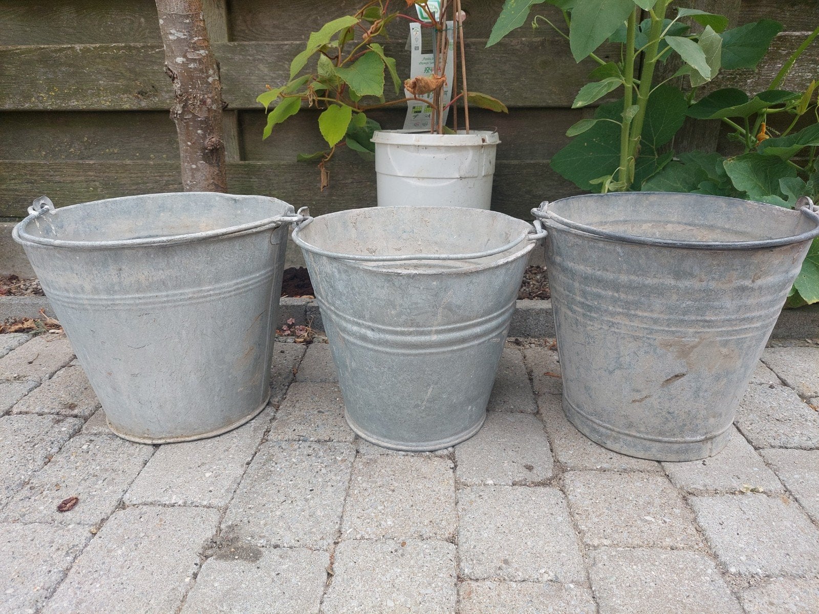 Anciens seaux, Jardin & Terrasse, Bacs à fleurs & Jardinières, Enlèvement