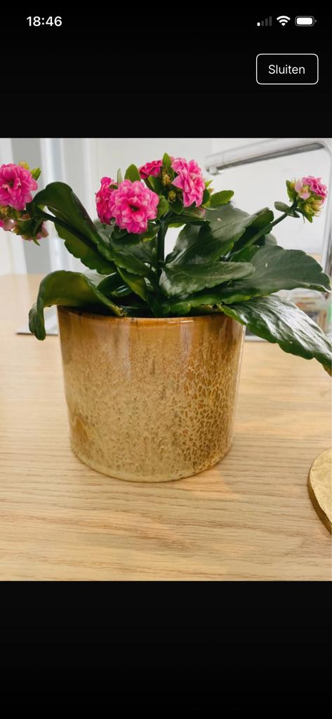 Bloempot beige-bruin, Tuin en Terras, Bloempotten, Ophalen of Verzenden, Zo goed als nieuw
