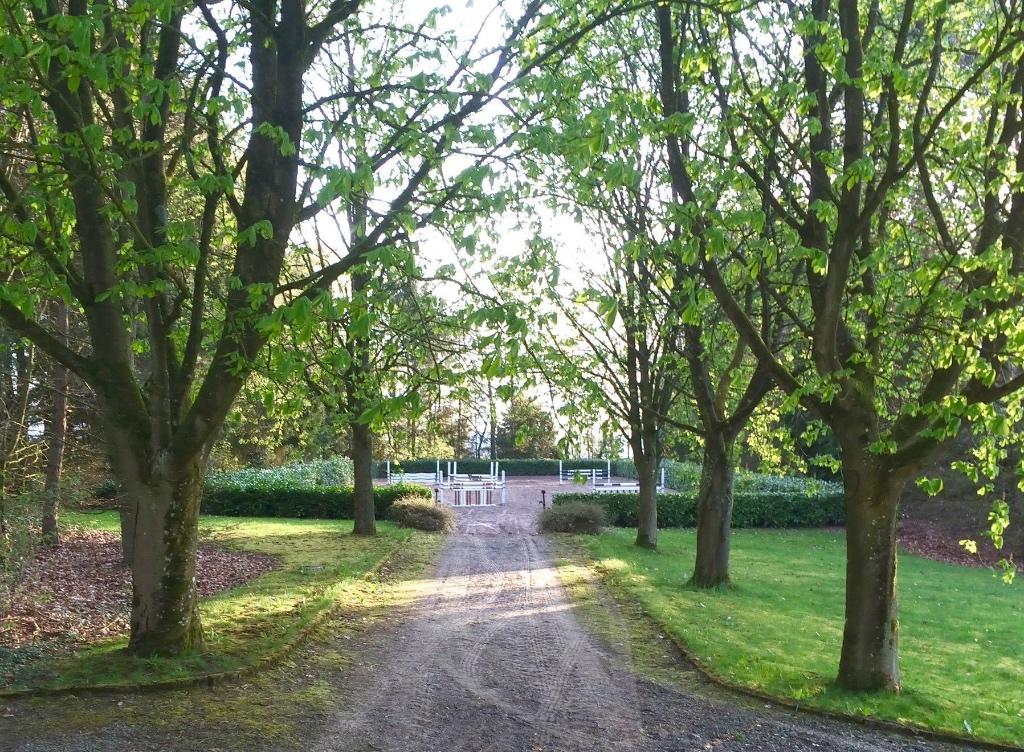 Pensions complètes près d’Aywaille, Animaux & Accessoires, Mise à l'étable, 4 chevaux ou poneys ou plus